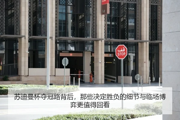 苏迪曼杯夺冠路背后，那些决定胜负的细节与临场博弈更值得回看